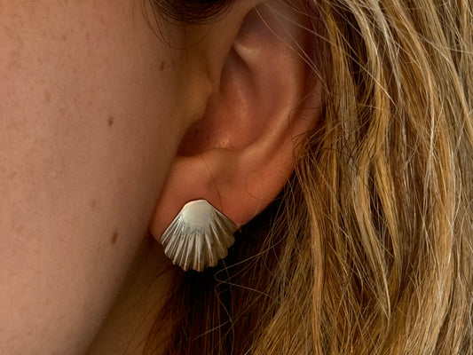 Sea Shell Earrings