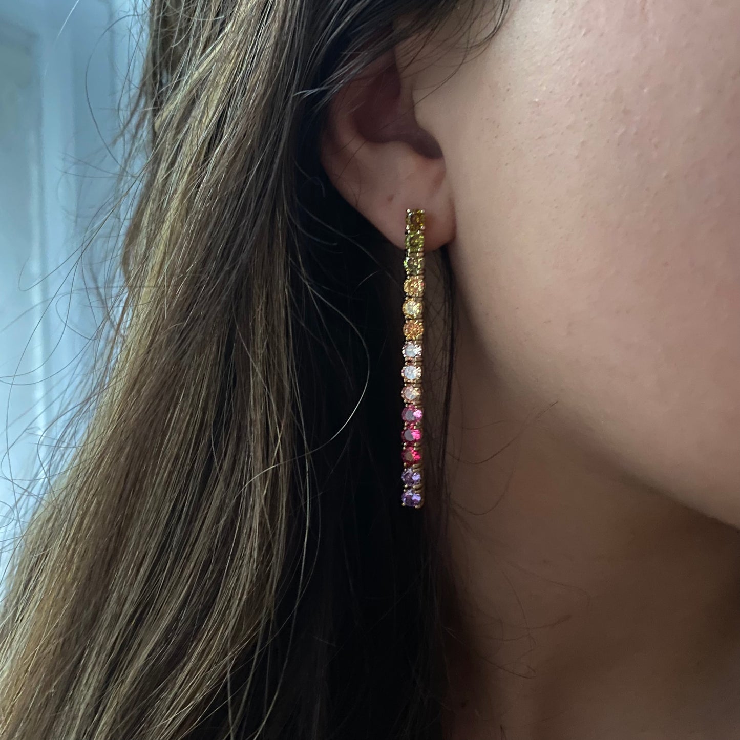 Rainbow Dangly Earrings