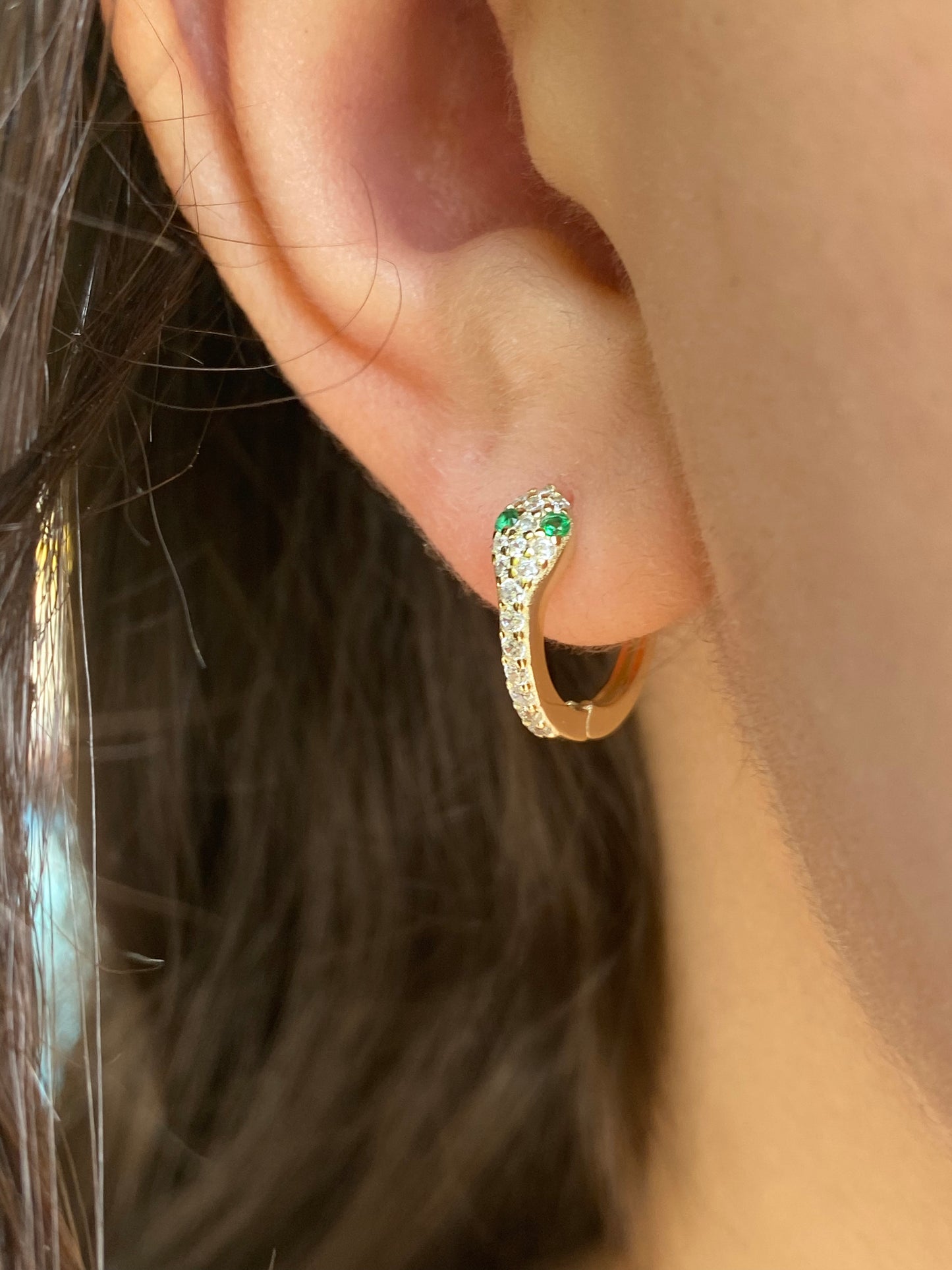 Snake Head Earrings